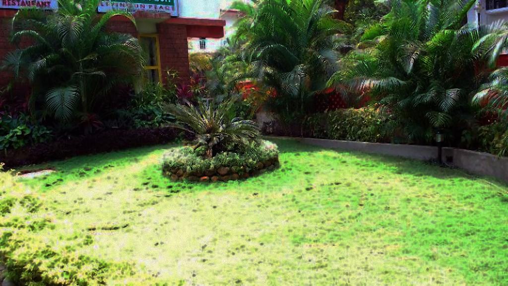Little Italy Otel Calangute Dış mekan fotoğraf