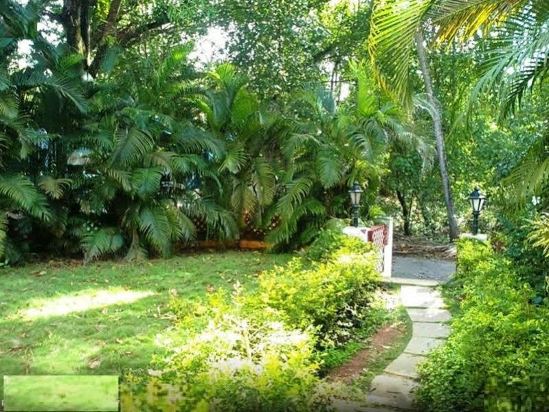 Little Italy Otel Calangute Dış mekan fotoğraf